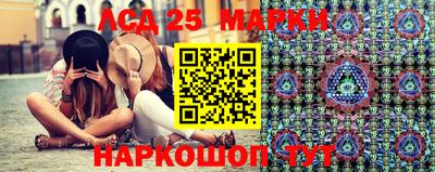 spice Кулебаки