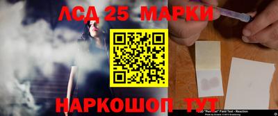 spice Кулебаки