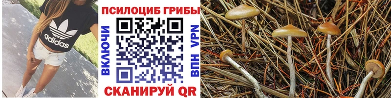 закладка  Ессентуки  Галлюциногенные грибы ЛСД 