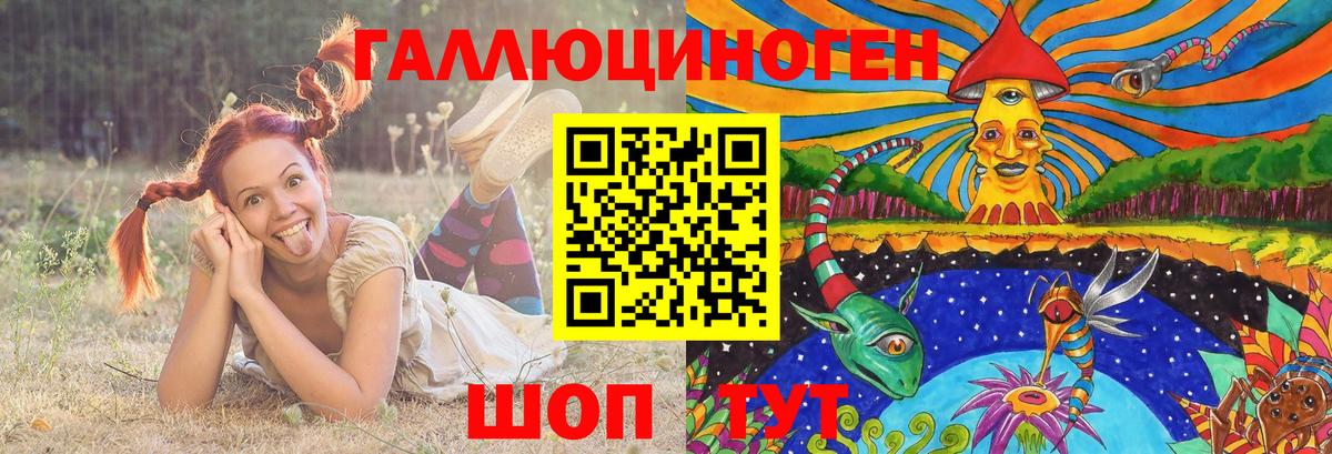 Галлюциногенные грибы MAGIC MUSHROOMS  Вход с VPN  Ессентуки 